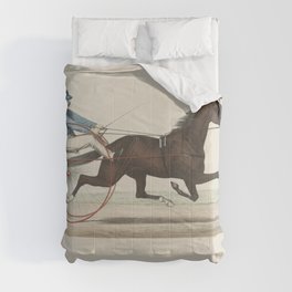 Historic Horse Illustration  Comforter
