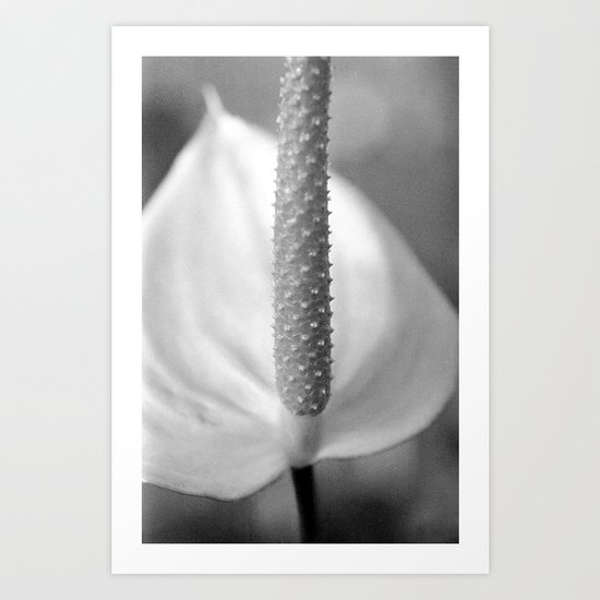Simplistic Beauty Art Print