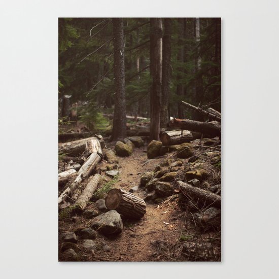 Forest Trail Canvas Print
