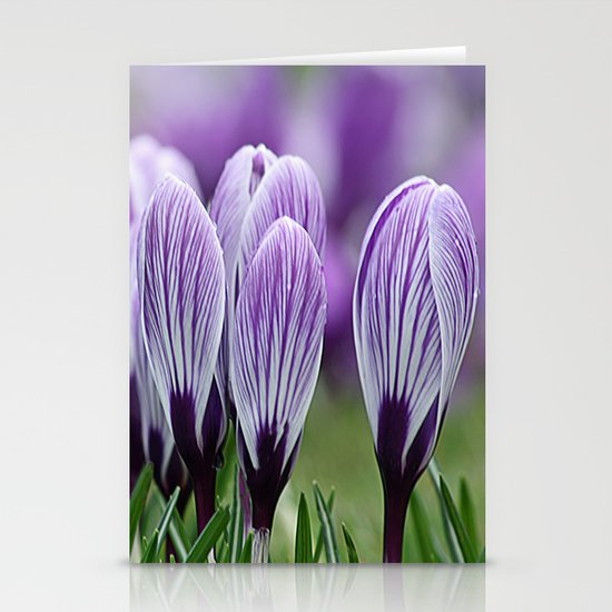 Purple Crocus Stationery Cards