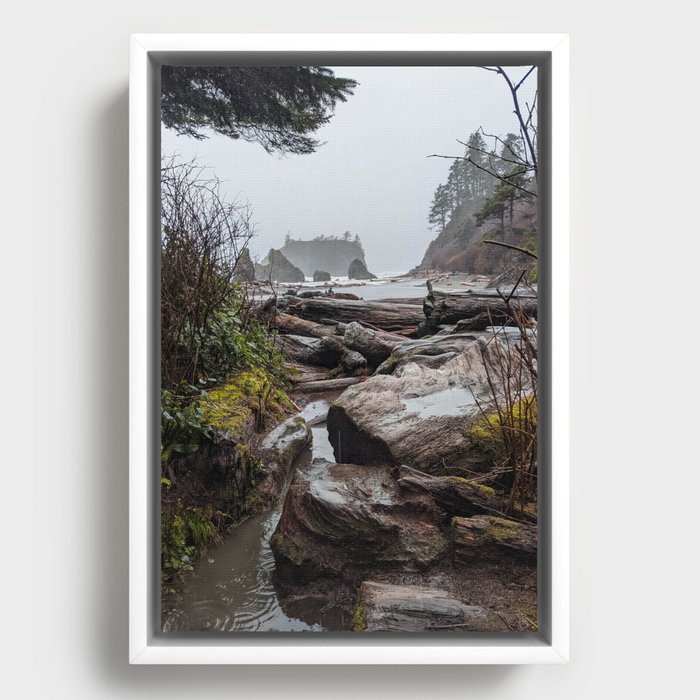 Rainy Washington Coast Framed Canvas