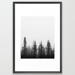 Foggy Trees in the Forest Framed Art Print