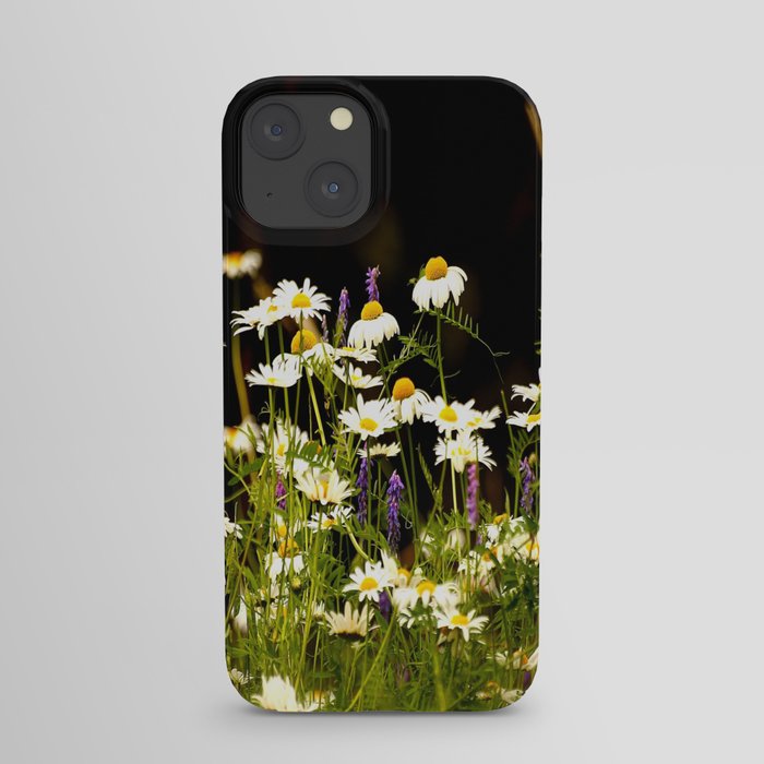 Beautiful White Daisies Black Background #decor #society6 #buyart iPhone Case