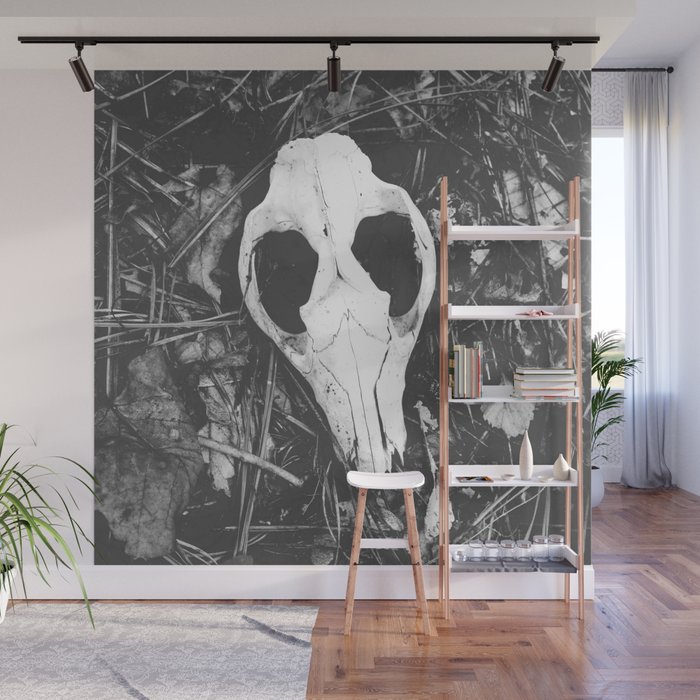 Woodland Animal Skull Black and White Photography Wall Mural by Tay Keen |  Society6
