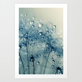 Dandy Blue Shower Art Print | Abstract, Nature, Photo 