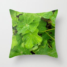 Dew Drops On The Green Leaves Throw Pillow