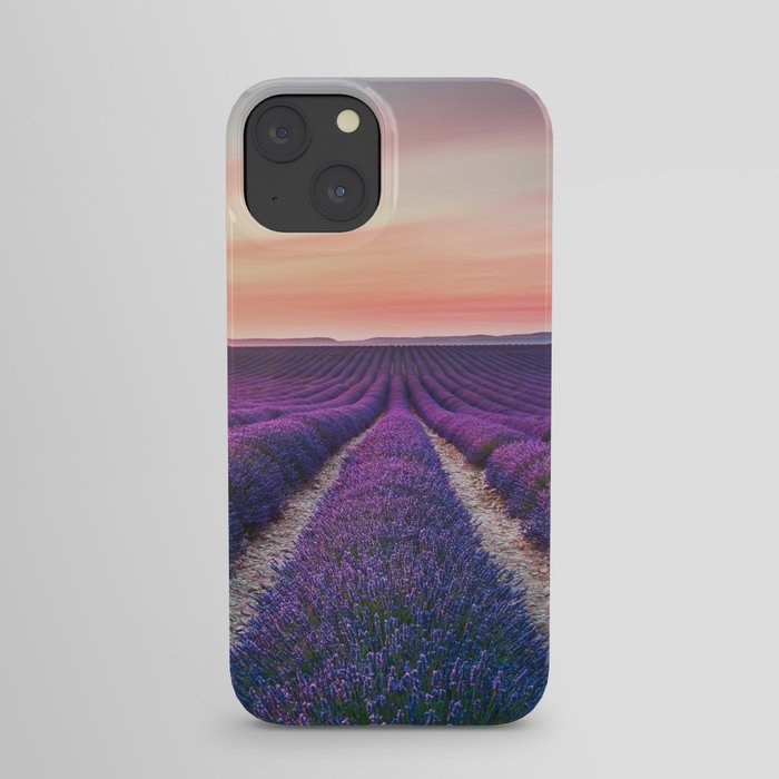 Lavender flower field, endless rows at sunset. Provence iPhone Case