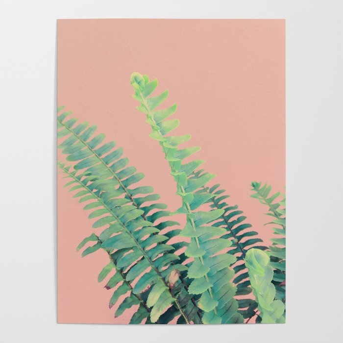Ferns on Blush Poster