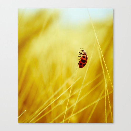 to the wind. Canvas Print