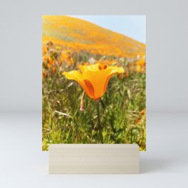 California Poppy Mini Art Print