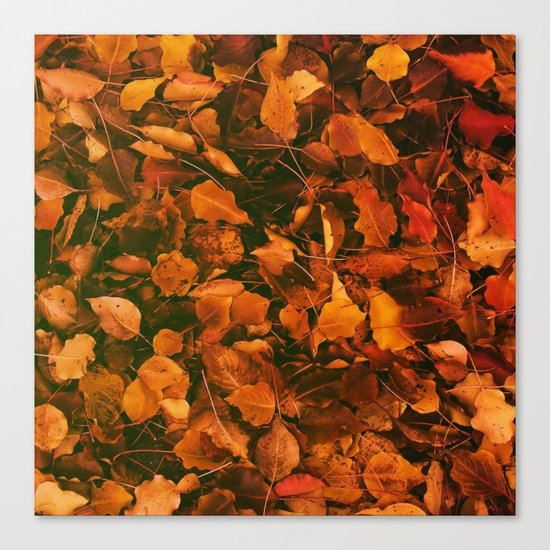 DRY LEAVES Canvas Print