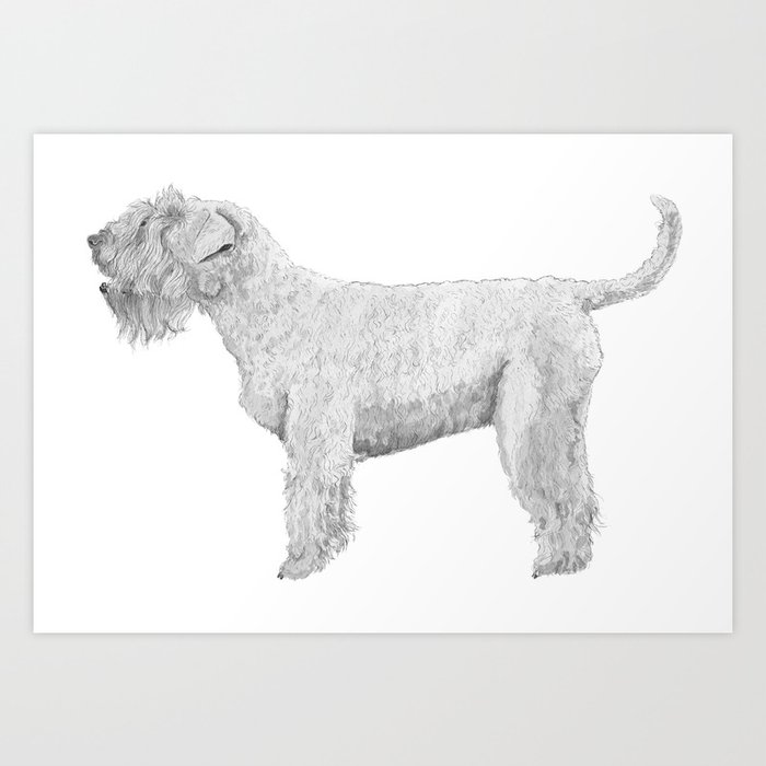 Soft Coated Wheaten Terrier Art Print By Doggyshop Society6