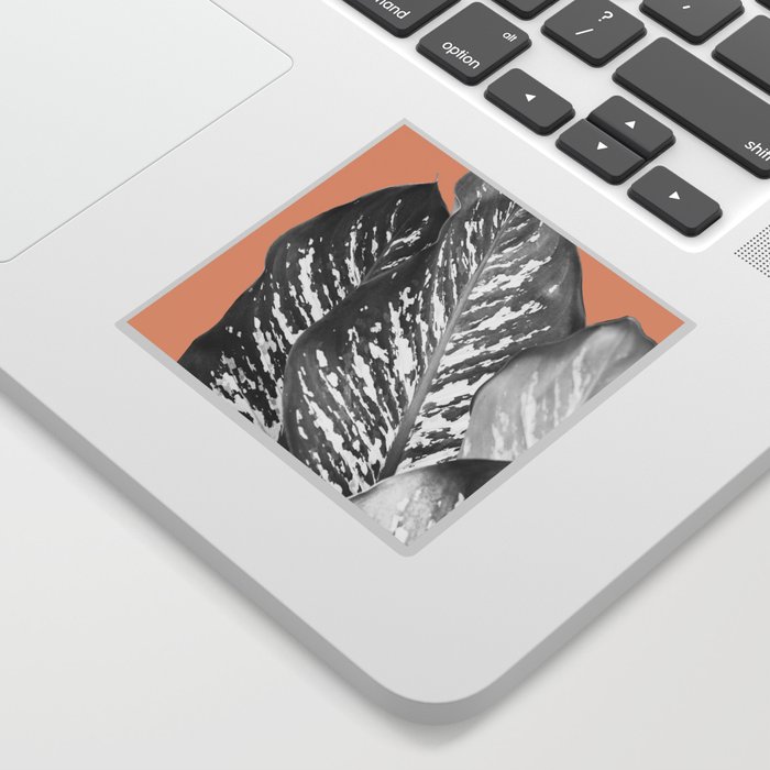 Dieffenbachia - Exotic Leaves #2 #tropical #wall #art #society6 Sticker