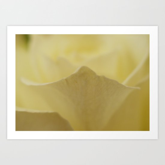 Yellow Roses (25) Art Print