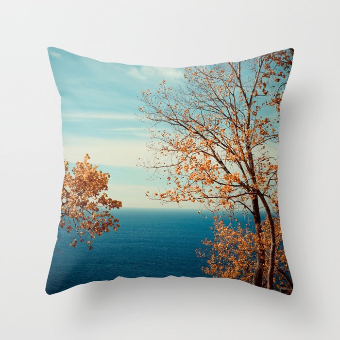 The View From the Top Throw Pillow