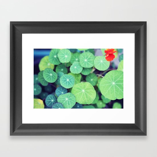 Aquatic Life Framed Art Print