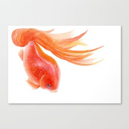 Goldfish , Gold Fish, Yellow Goldfish , watercolor painting by Suisai Genki Canvas Print