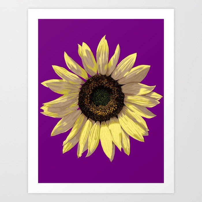 Sunflower Art Print