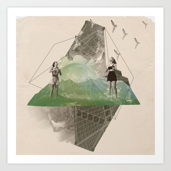 BIRDS Art Print