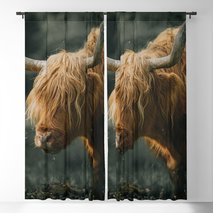 Scottish Highland Cow | Scottish Cattle | Cute Cow | Cute Cattle 04 Blackout Curtain