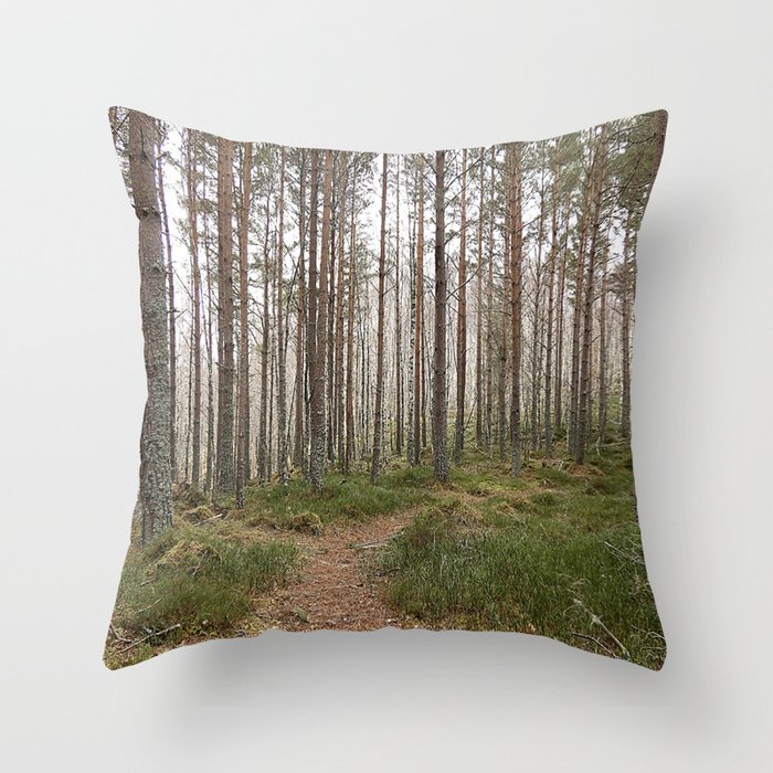 Scottish Highlands Nature Walk in Winter Throw Pillow