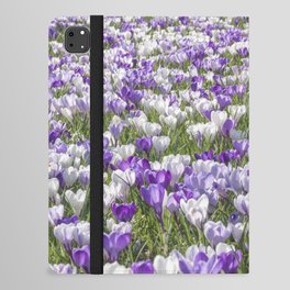 White and purple crocuses art print- dutch spring flowers, veri peri floral nature photography  iPad Folio Case