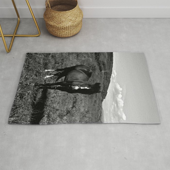 Monochrome black horse on the field in the summertime Rug