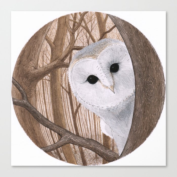 curious owl Canvas Print