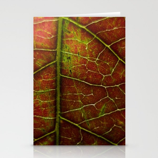 Autumn texture Stationery Cards