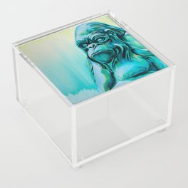 Gorilla (sRGB) Acrylic Box