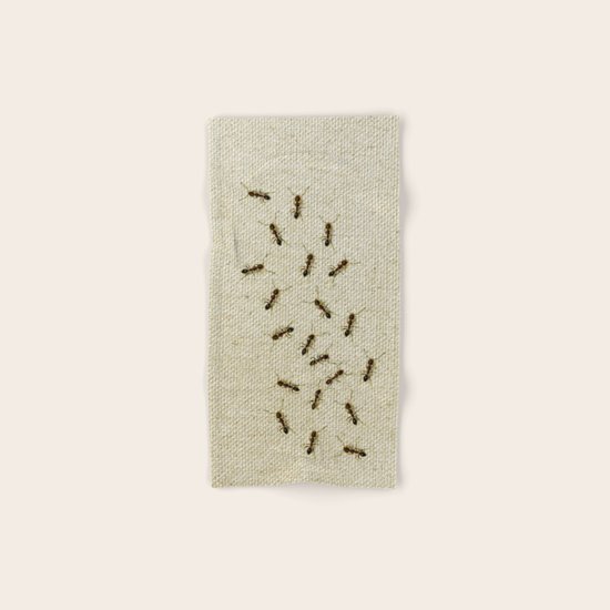 Coletivo "Formigas" Hand & Bath Towel