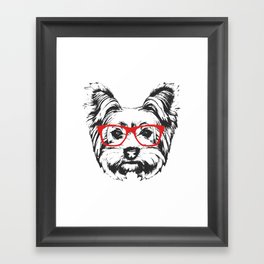 Portrait of Yorkshire Terrier Dog. Framed Art Print
