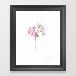 Pink Flower Framed Art Print