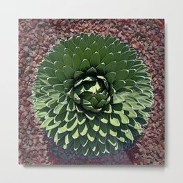 augmented agave Metal Print | Photo, Victoria, Garden, Leaf, Nature, Succulent, Agave, Plant, Arizona, Desert 