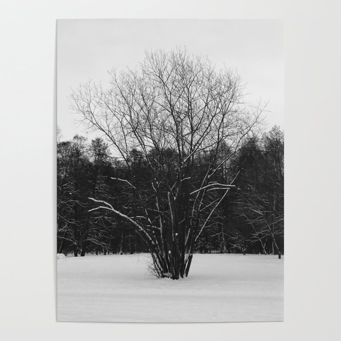 Lone tree Poster