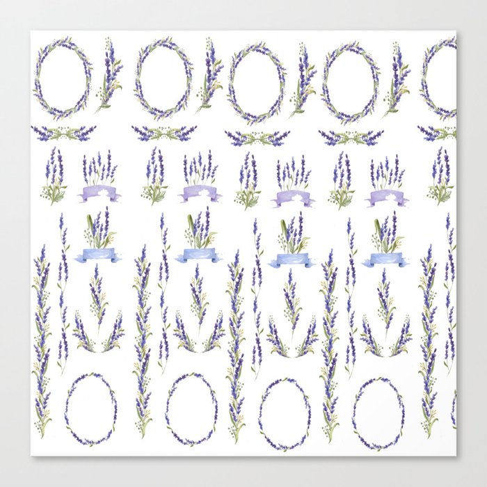 Lavender Canvas Print