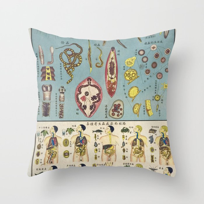 Chinese Parasite Chart Vintage Poster Anatomical  Throw Pillow