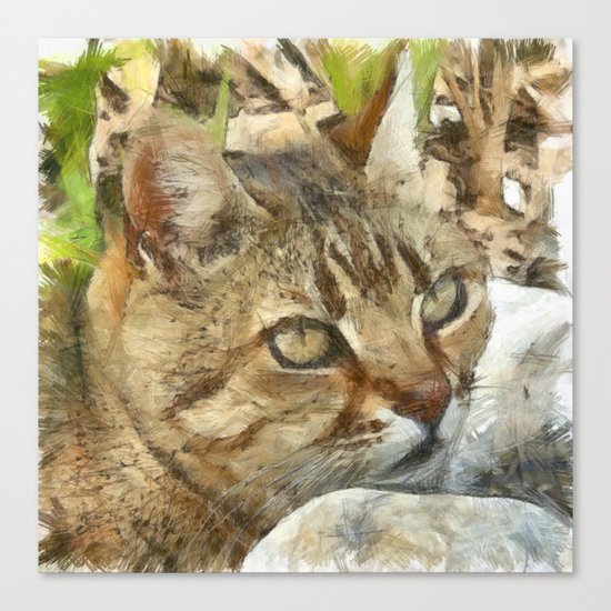 Relaxed Tabby Cat Resting In Garden Canvas Print