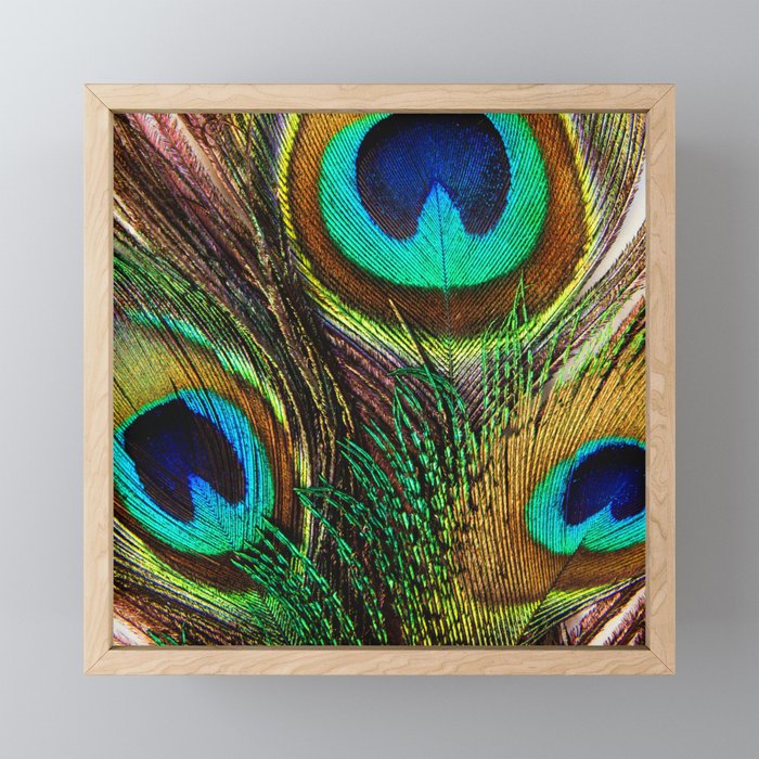 Peacock feathers Framed Mini Art Print