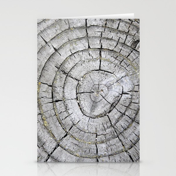 Tree Rings Monochrome Nature Art Photo Stationery Cards