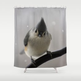 Snowy Tufted Titmouse Shower Curtain