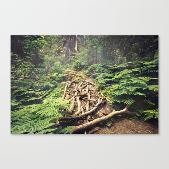 Misty Rainforest Canvas Print