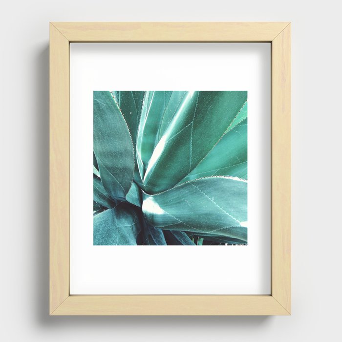 Cactus Recessed Framed Print