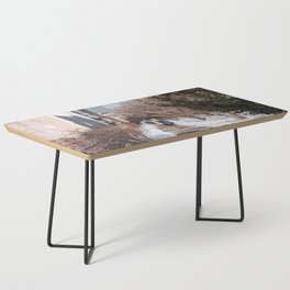 New York City | Walking in the Park Coffee Table