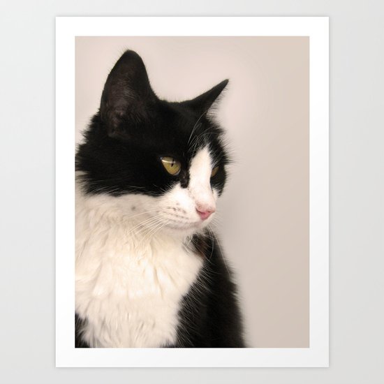 Cat Art Print