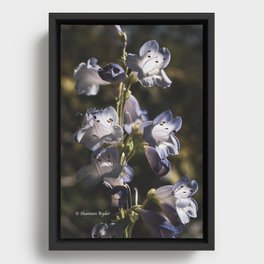 purple Flower Framed Canvas