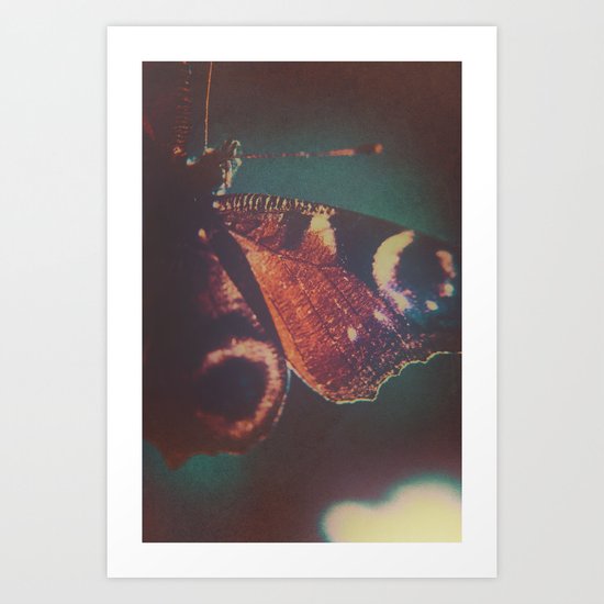 Butterfly III Art Print
