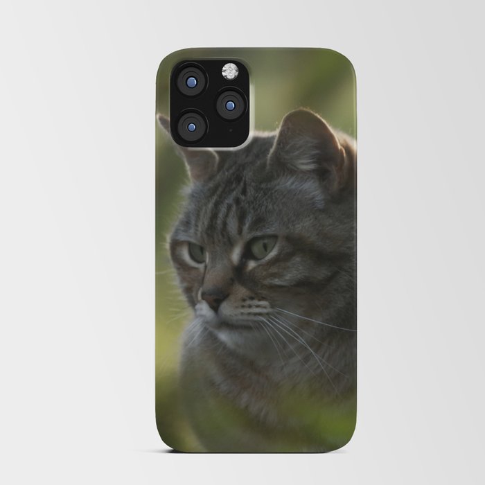 Tabby cat iPhone Card Case