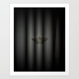 Moth behind bars Art Print