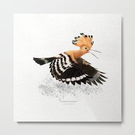 Eurasian hoopoe art print Metal Print | Birds, Birding, Illustration, Digital, Birdart, Bird, Realistic, Realism, Hoopoe, Science 